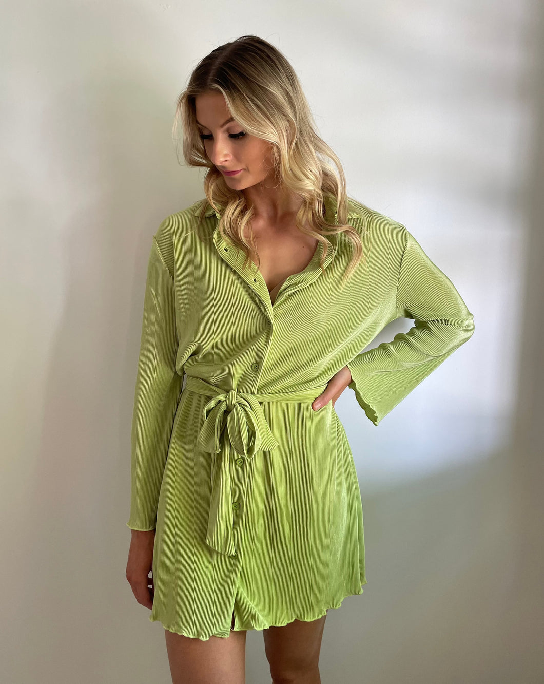 Pleated Shirt Dress
