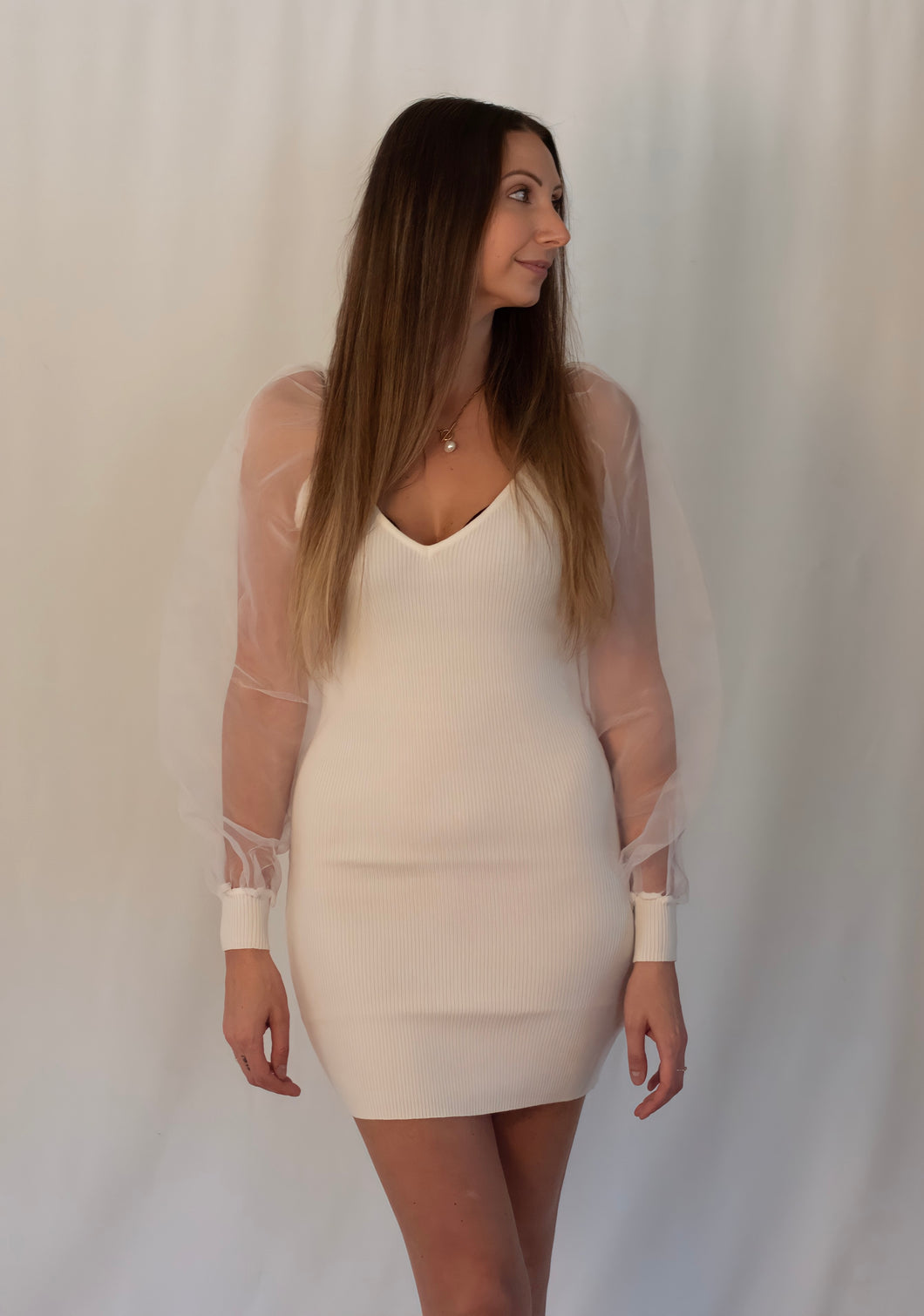 Organza Puff Sleeve Mini