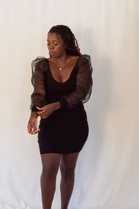 Organza Puff Sleeve Mini